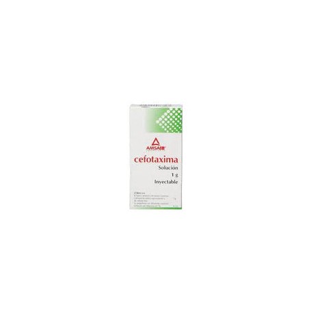 CEFOTAXIMA INY. 1G. I.M. FCO. AMP. C/PVO. Y AMP. C/4 ML.