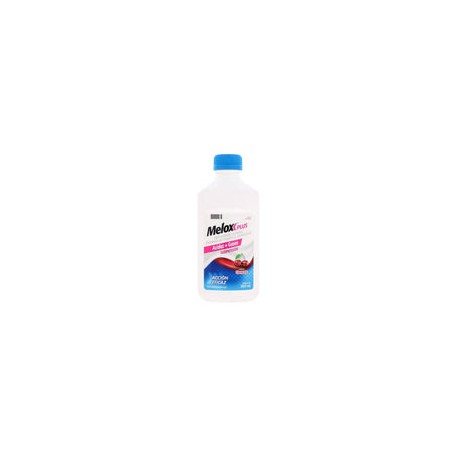 MELOX PLUS CZA 360 ML SUSP