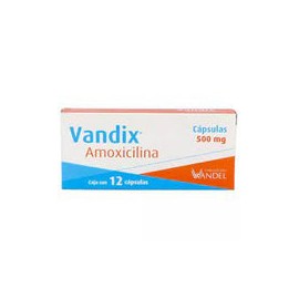 AMOXICILINA 500 MG 12 CAPS  LGEN