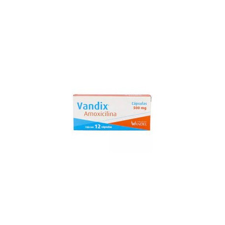 AMOXICILINA 500 MG 12 CAPS  LGEN