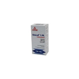 AMCEF IM CEFT500MG SI FA2ML LGEN