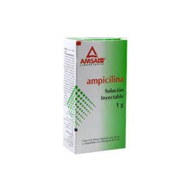 AMPICILINA 1 G SOL INY FA   LGEN