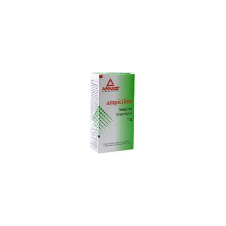 AMPICILINA 1 G SOL INY FA   LGEN